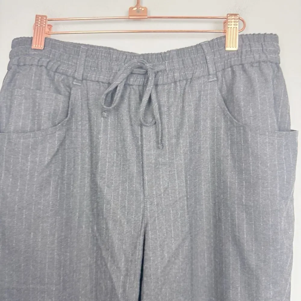 ZARA | Drawstring Waist Gray Pinstripe Print Pants Women’s Size 10